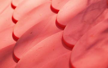 Hellifield Green plastic roof costs